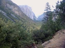 Yosemite national park